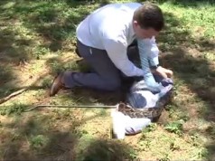 Watch WPEC Reporter Josh Repp Bag a Live Python